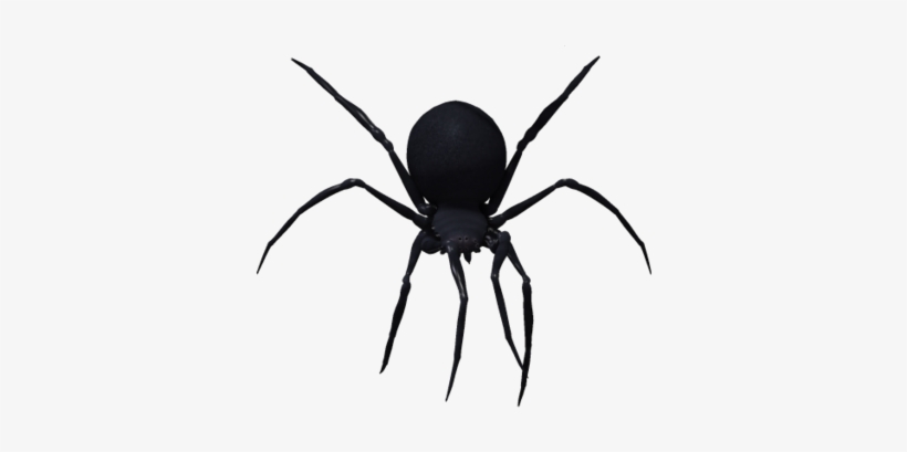 Black Widow Spider Png Image - Black Widow Spider Png, transparent png #59766
