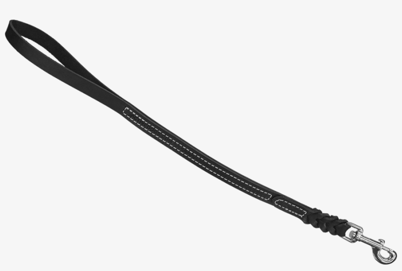 Post - Dog Leash Png, transparent png #500291