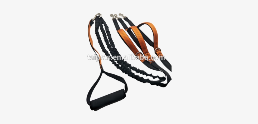 2018 Hotsale 3 Way Dog Coupler Leash Non Tangle Swivel - Rein, transparent png #500658
