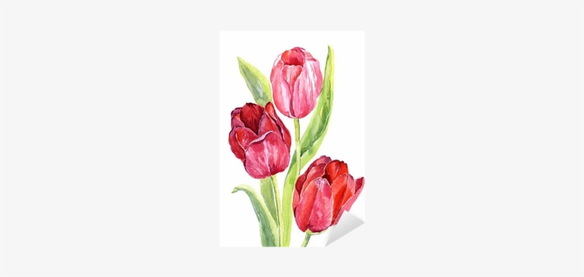 Tulipanes En Acuarela Png, transparent png #500992