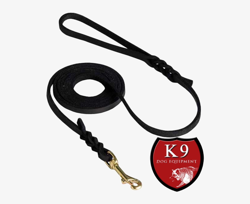 Braided Leather Show Dog Leash - Usb Cable, transparent png #501225