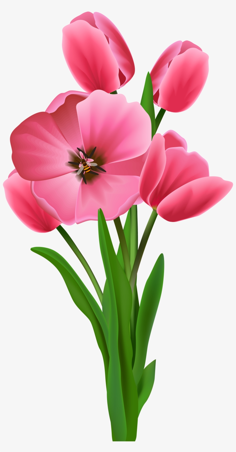 Transparent Image Tulipany Pinterest - Tree Flower Clipart Png, transparent png #501752