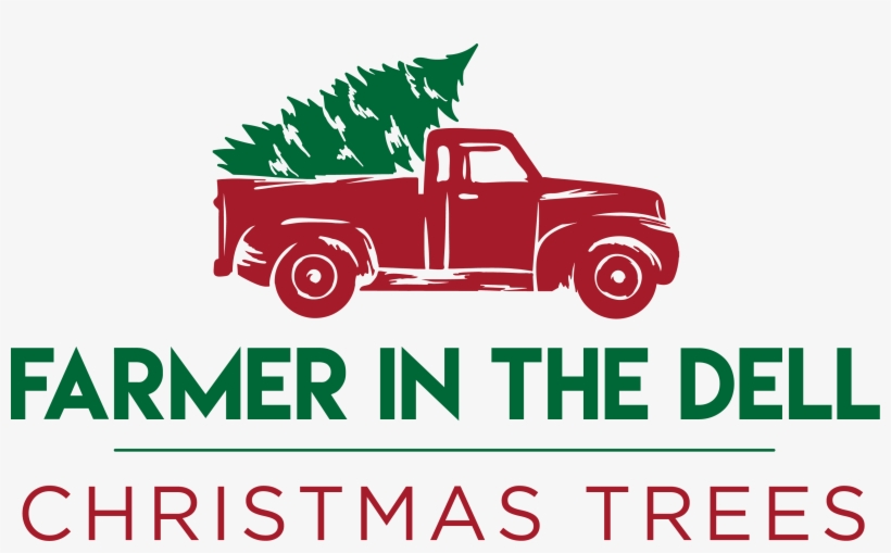 Live Christmas Trees At Farmer In The Dell In Auburn - La Cámpora, transparent png #501814