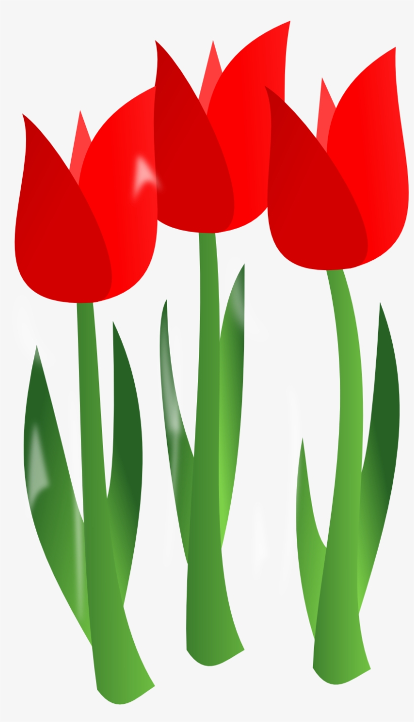 Red Tulips Svg Clip Arts 348 X 592 Px, transparent png #502049