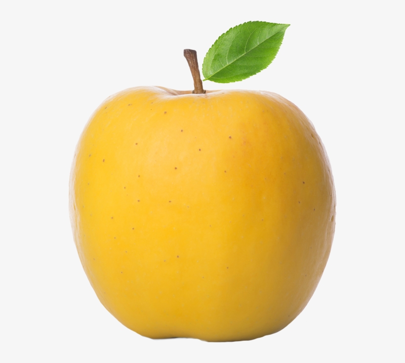 A New Sweet, Crispy Apple With Exceptional Flavor, - Russeting, transparent png #502217