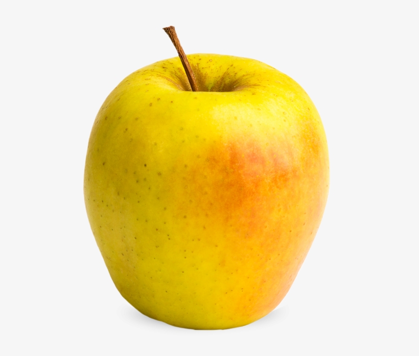 Gingergold Apples Are Medium To Large In Size With - Ginger Gold, transparent png #502597