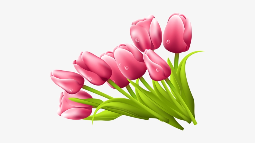 Pink Tulips Png For Kids - Flor Tulipan Png, transparent png #502613