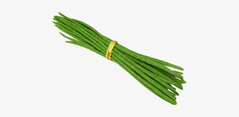 Download Drumstick Png Image - Drumsticks Vegetables, transparent png #503255