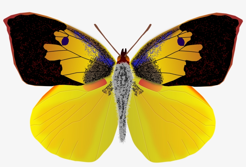 Dogface Butterfly Icons Free And Icons Downloads Png, transparent png #503276