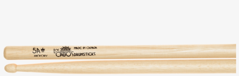 Check Them Out - Wood, transparent png #503602