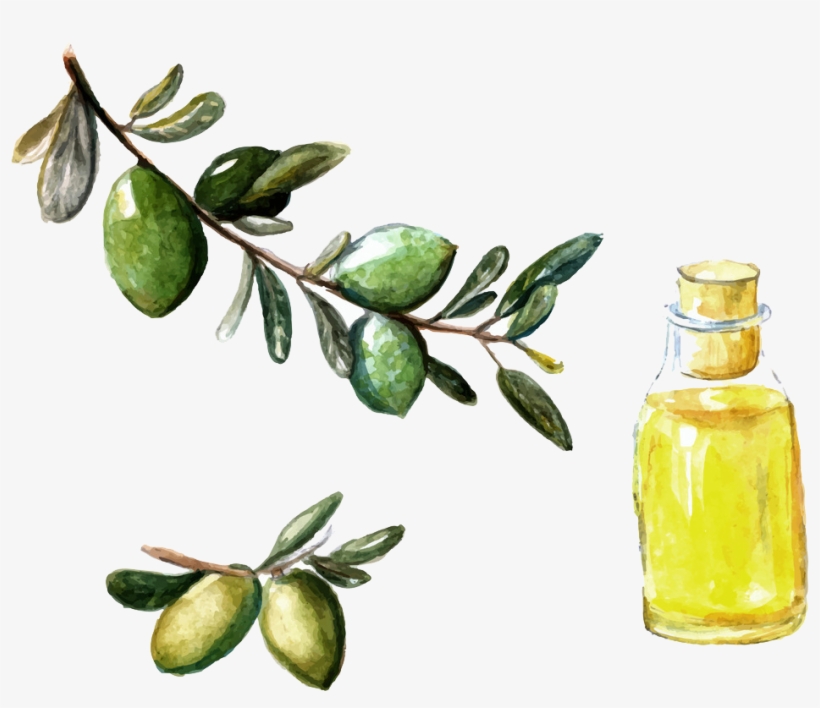Picture Free Library Argan Oil Watercolor Painting - Measureable Difference Argan No 1 Moisture Repair Body, transparent png #504451