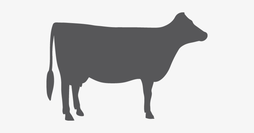 Png Black And White Library Silhouette At Getdrawings - Silhouette Of Dairy Cow, transparent png #504565