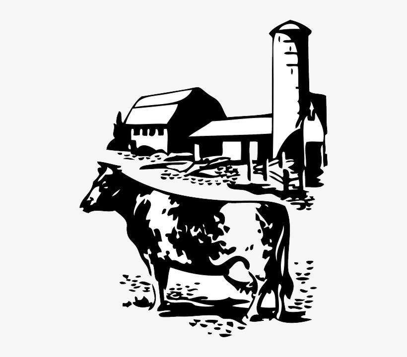 Barn, Farm, Cow, Dairy, Animal, Animals, Silhouette - Cow And Farm Clip Art, transparent png #504644