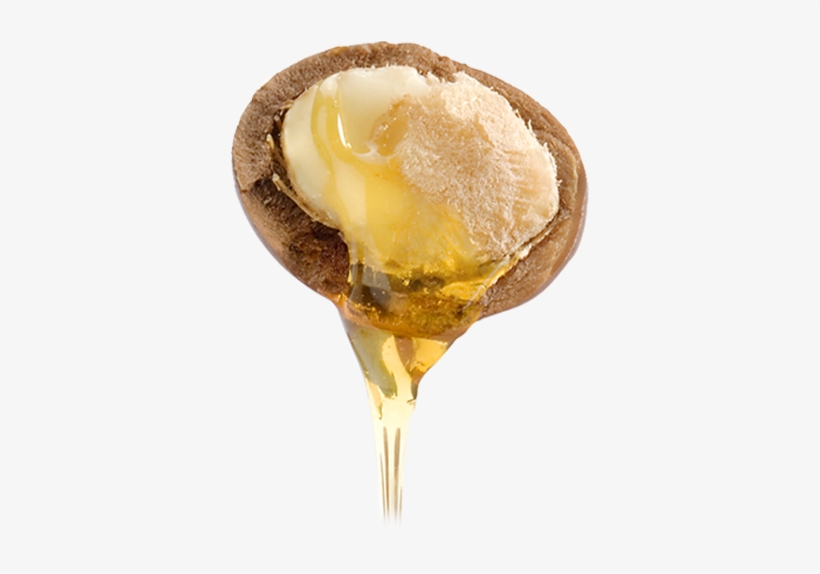 The Half Truth, transparent png #504687