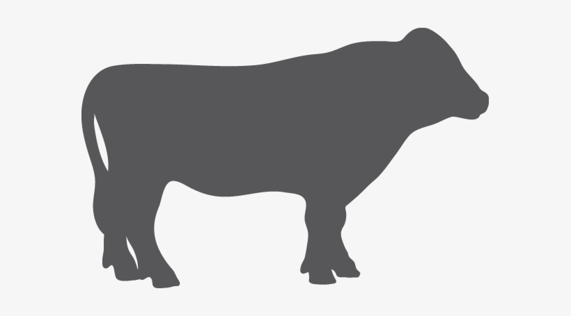 Grey Cow Icon Png, transparent png #504778