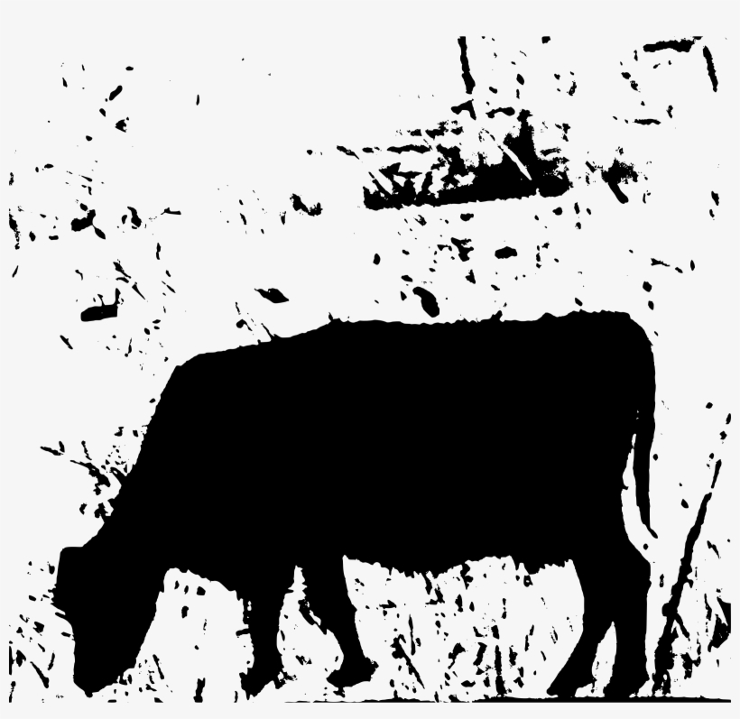 Black And White Download Big Image Png - Illustration, transparent png #504800