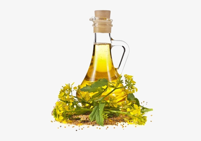 Wintergreen Oil - Mustard Oil, transparent png #504801