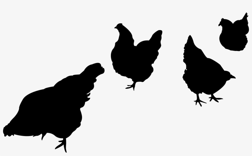 Chicken Silhouette Png Images & Pictures Becuo - Farm Animal Silhouette Png, transparent png #504843