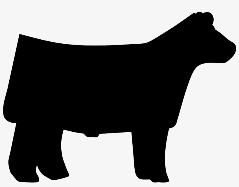Silhouette At Getdrawings Com - Show Steer Clipart, transparent png #504994