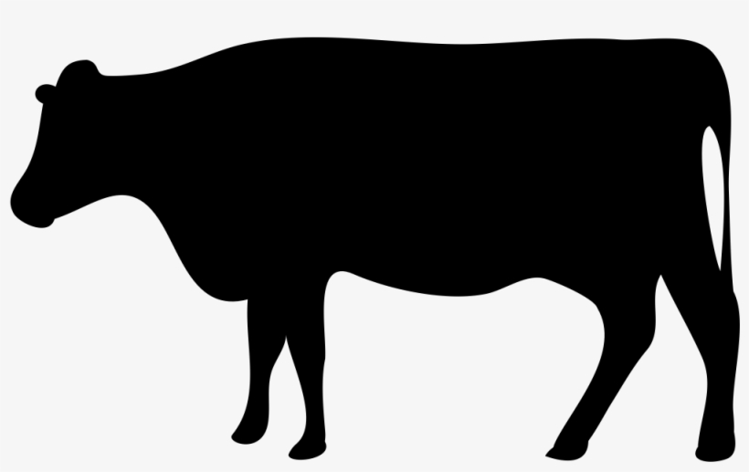 Beef Cattle Dairy Farming Livestock Dairy Cattle - Cattle Icon, transparent png #505038