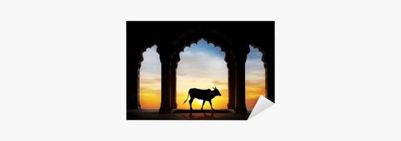 Divine Reality By Hamza Andreas Tzortzis, transparent png #505061