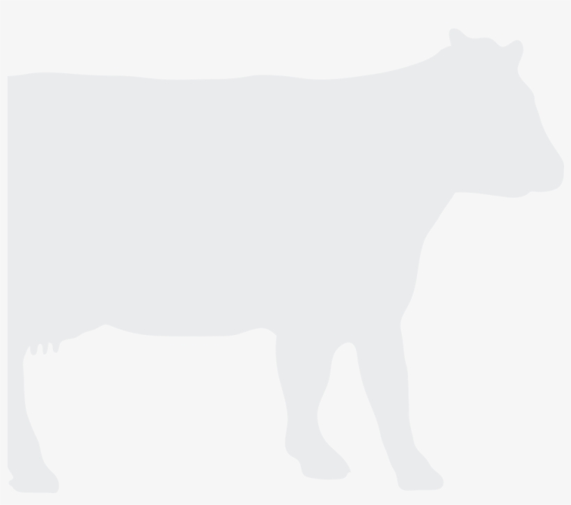 Cow Silhouette - Cattle, transparent png #505204