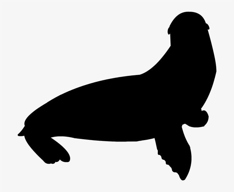 California Sea Lion Silhouette By Grandechartreuse - Sea Lion Silhouette Png, transparent png #505337