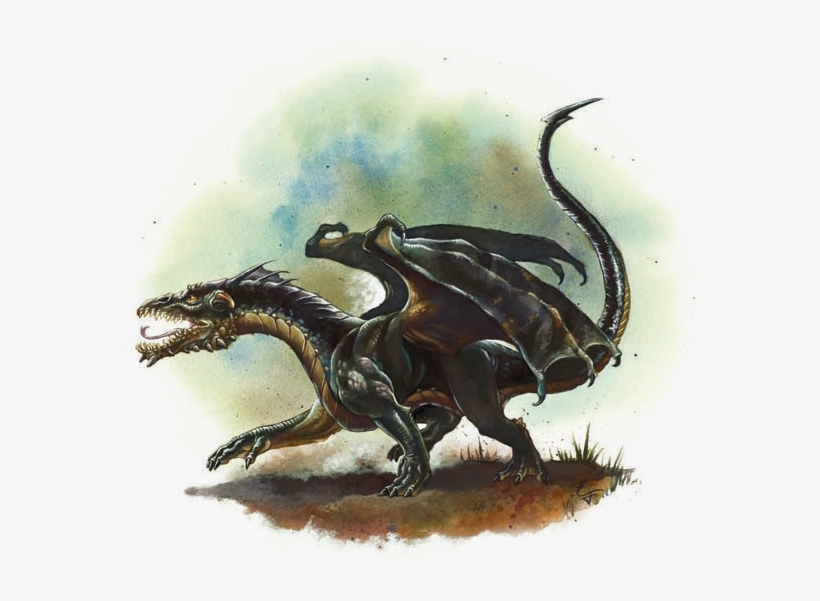 Baby Black - Black Dragon Wyrmling, transparent png #505620