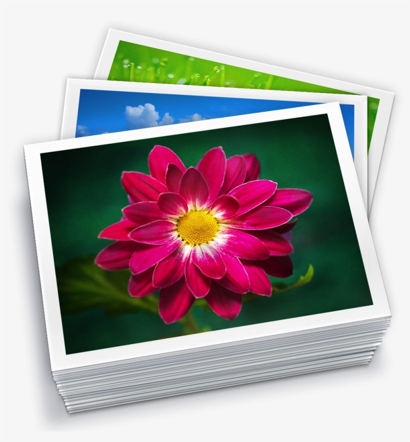 Imagegallery - Iphoto, transparent png #505621