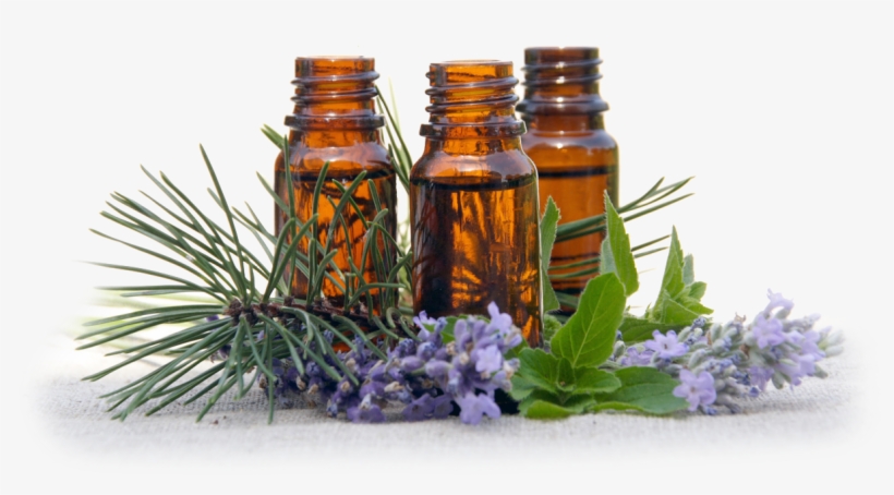 A Certified Aromatherapist Can Educate You On How To - Aromatherapy Png, transparent png #505641
