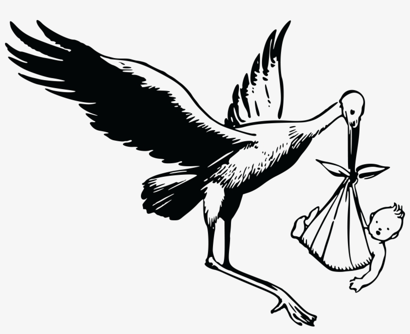 Free Clipart Of A Stork And Baby - Black And White Stork With Baby, transparent png #505818