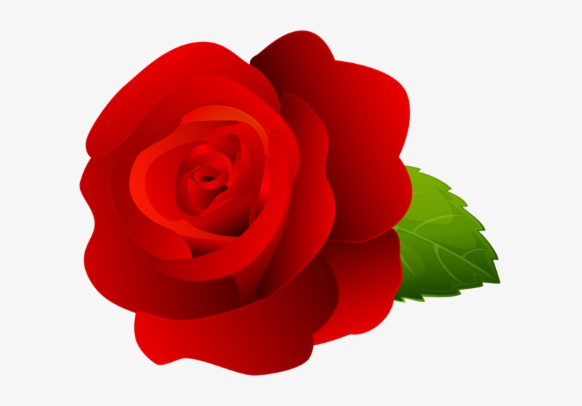 Rose Red Clip Art Png Image - Rose Red Clipart, transparent png #506184