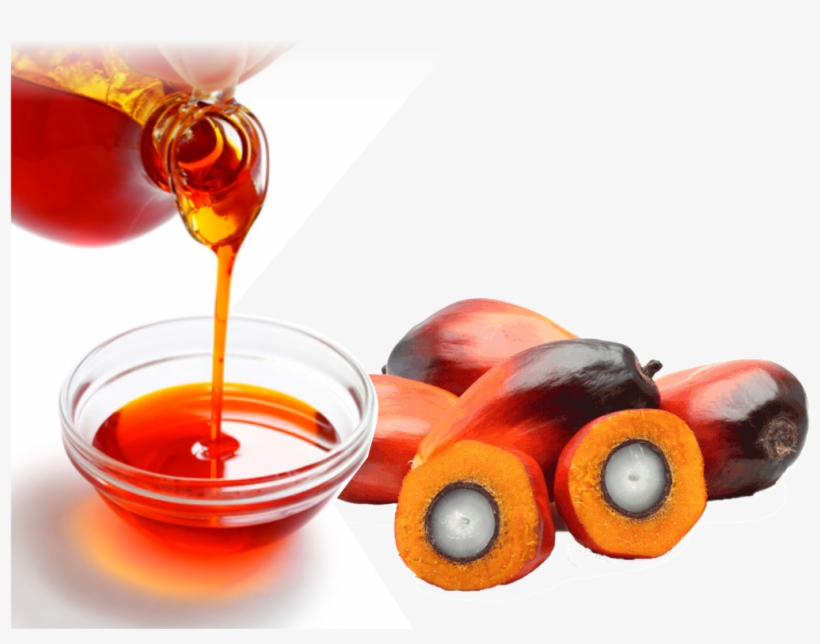 Home/vegetable Oils/rdb Palm Oil - Palm Oil Images Transparent, transparent png #506283