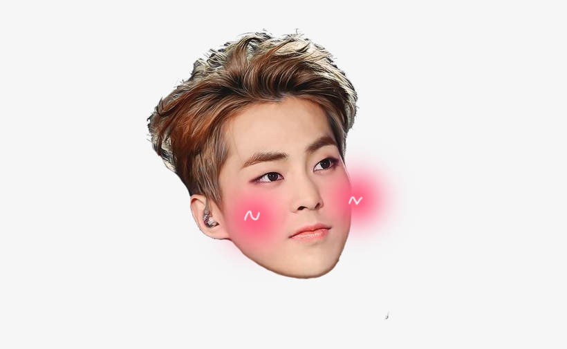 Exo หัว โต Png, transparent png #506352