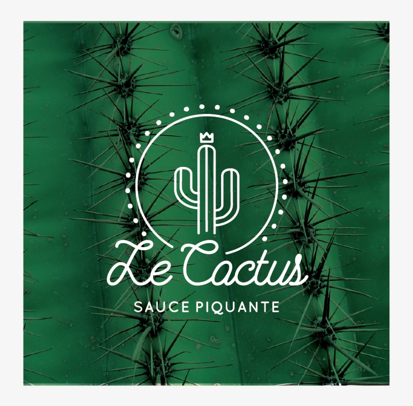 Logo Pour Sauce Piquante - Green Cactus Skin And Thorns - Southwestern Galaxy, transparent png #506585