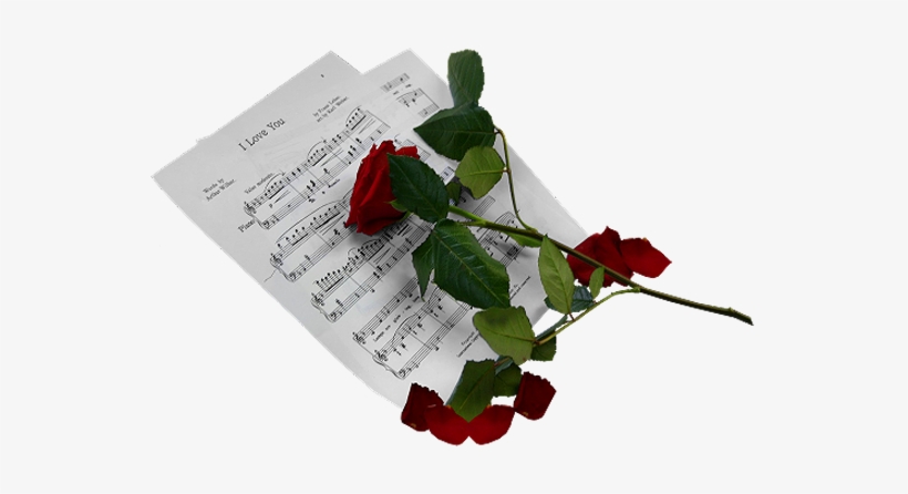 Musical Clipart Rose - Transparent Sheet Music Png, transparent png #506735