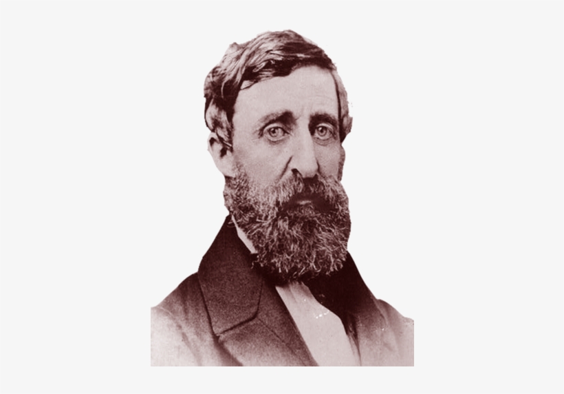 Picture - Political Thought Of Henry David Thoreau: Privatism, transparent png #507051