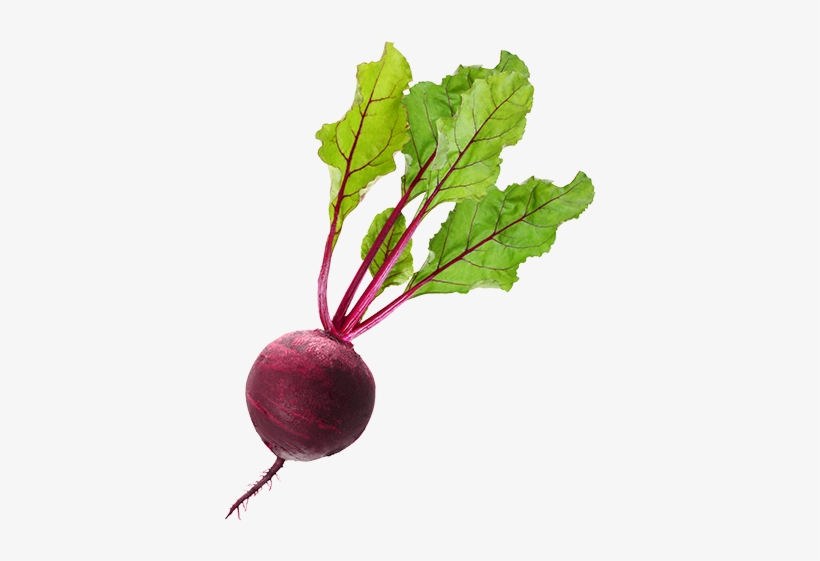 Beet Png, transparent png #508056