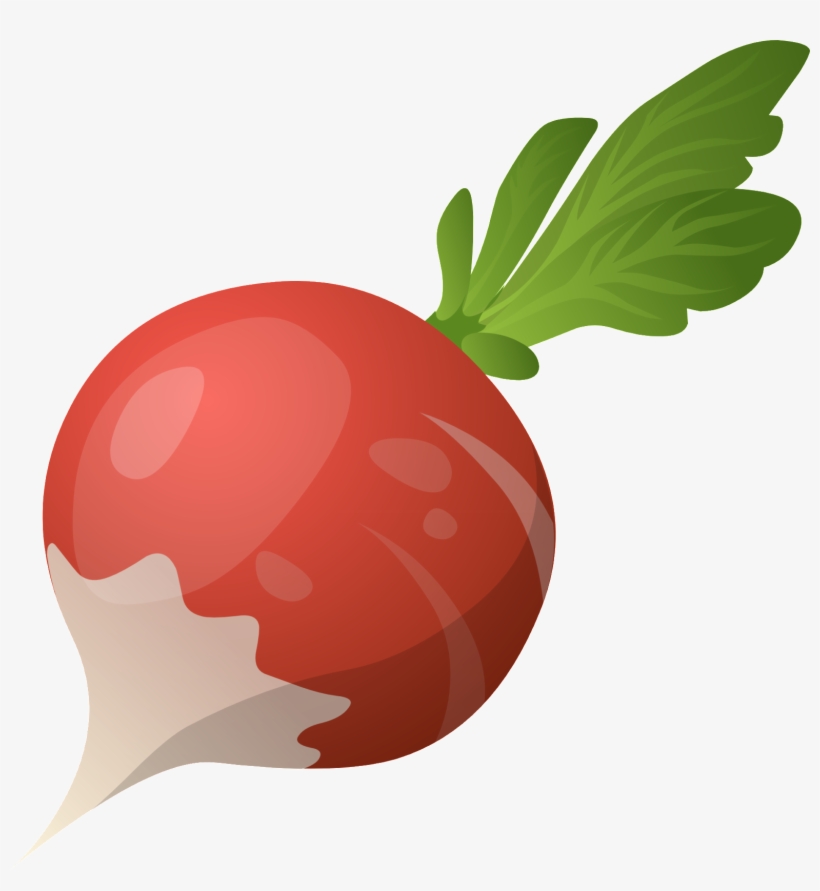 Radish Transparent, transparent png #508104
