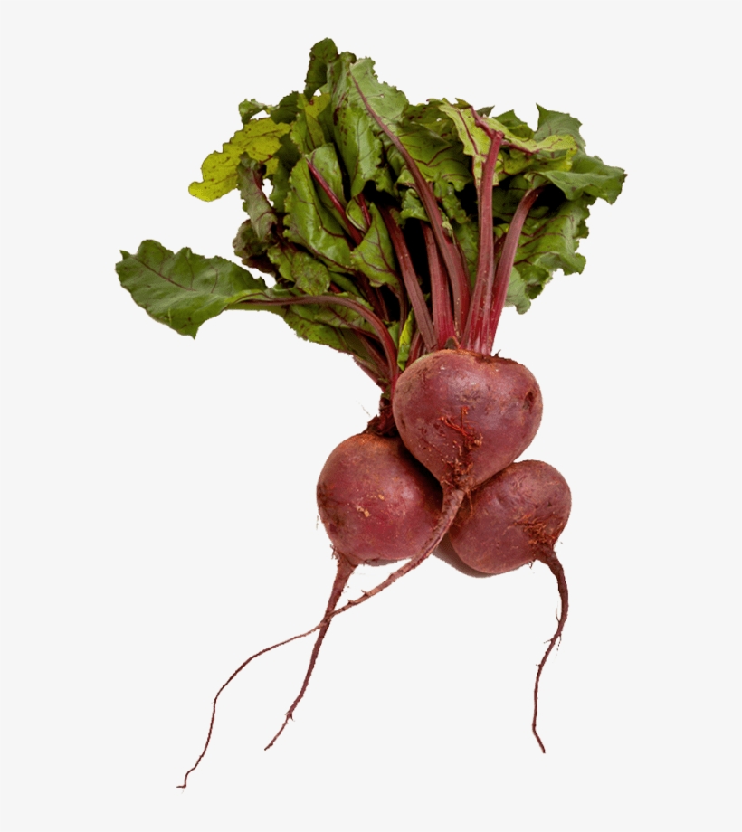 Free Png Beet Png Images Transparent - Beet Png Transparent, transparent png #508263