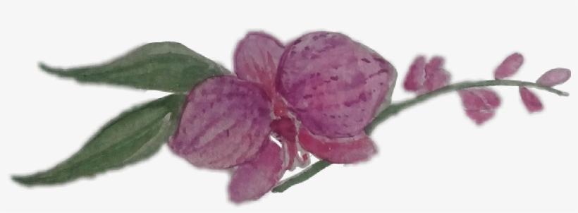 Sign In To Save It To Your Collection - Flower, transparent png #508288