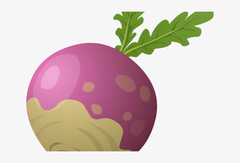 Beet Clipart Rutabaga - Rutabaga Clipart, transparent png #508634