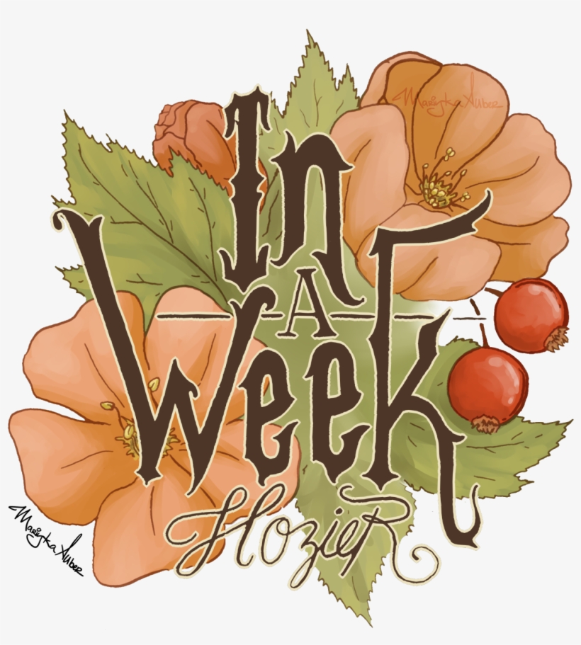 Image - Illustration, transparent png #508836