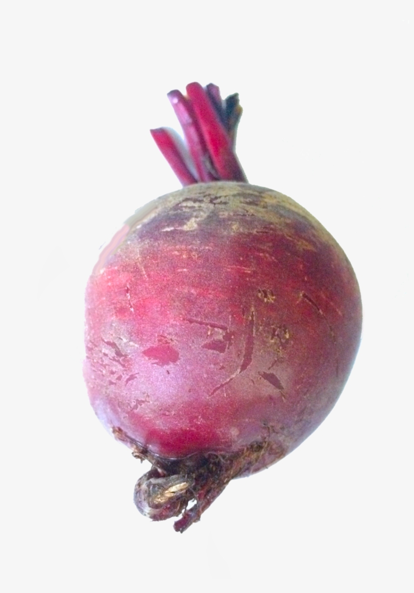 This Is The Sugar Beet - Common Beet, transparent png #509419