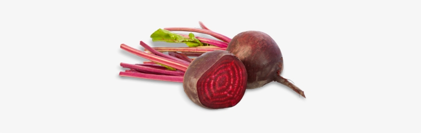 Beetroot - Imagenes De Remolacha Png, transparent png #509422