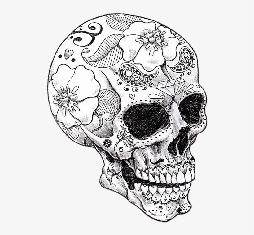 Vector Library Library Cool Art Skeletons And Spell - Adult Coloring Pages Skull, transparent png #509690