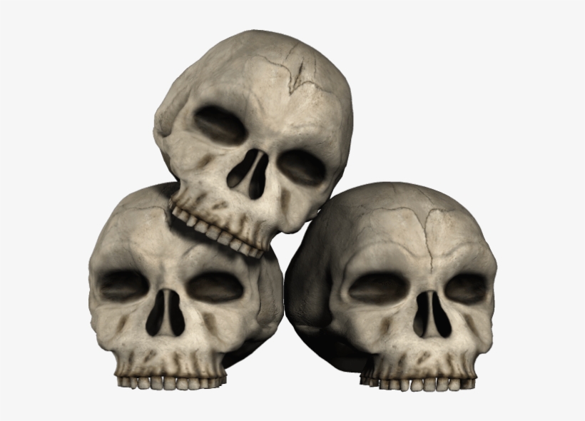Skull - Transparent Skulls, transparent png #509872
