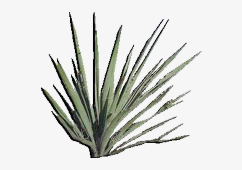 View In My Picture - Product, transparent png #5000665