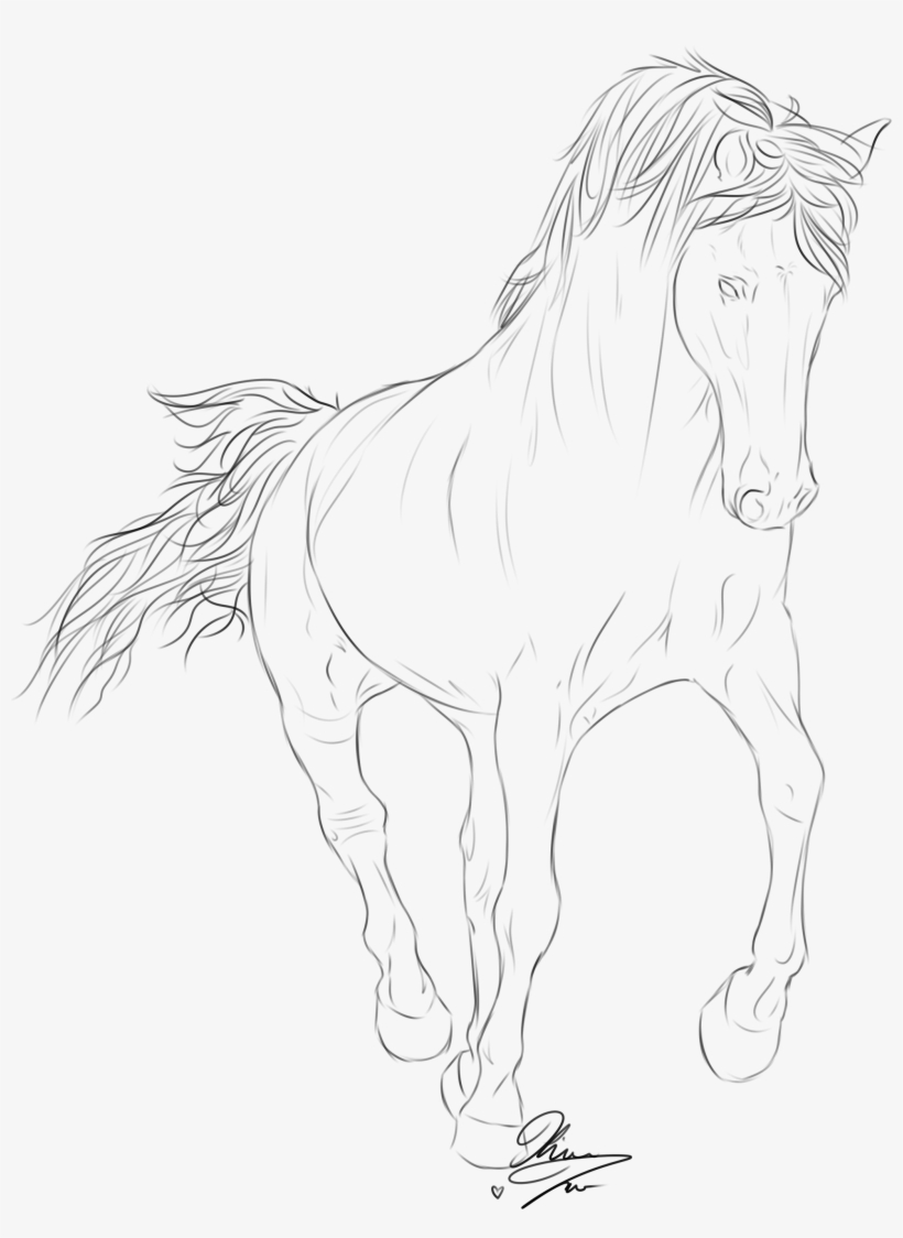 Relevant Images For Native American Arrow Drawing - Rocky Mountain Horse Drawing, transparent png #5002926