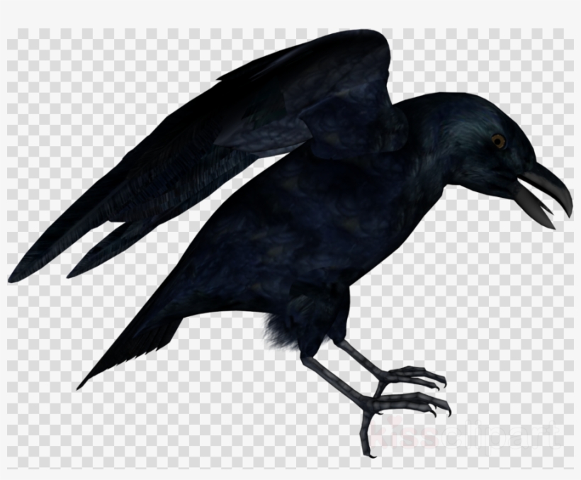 American Crow Clipart American Crow New Caledonian - Red White Circle Abstract, transparent png #5003067